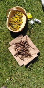 IMG 20210512 150710 150x300